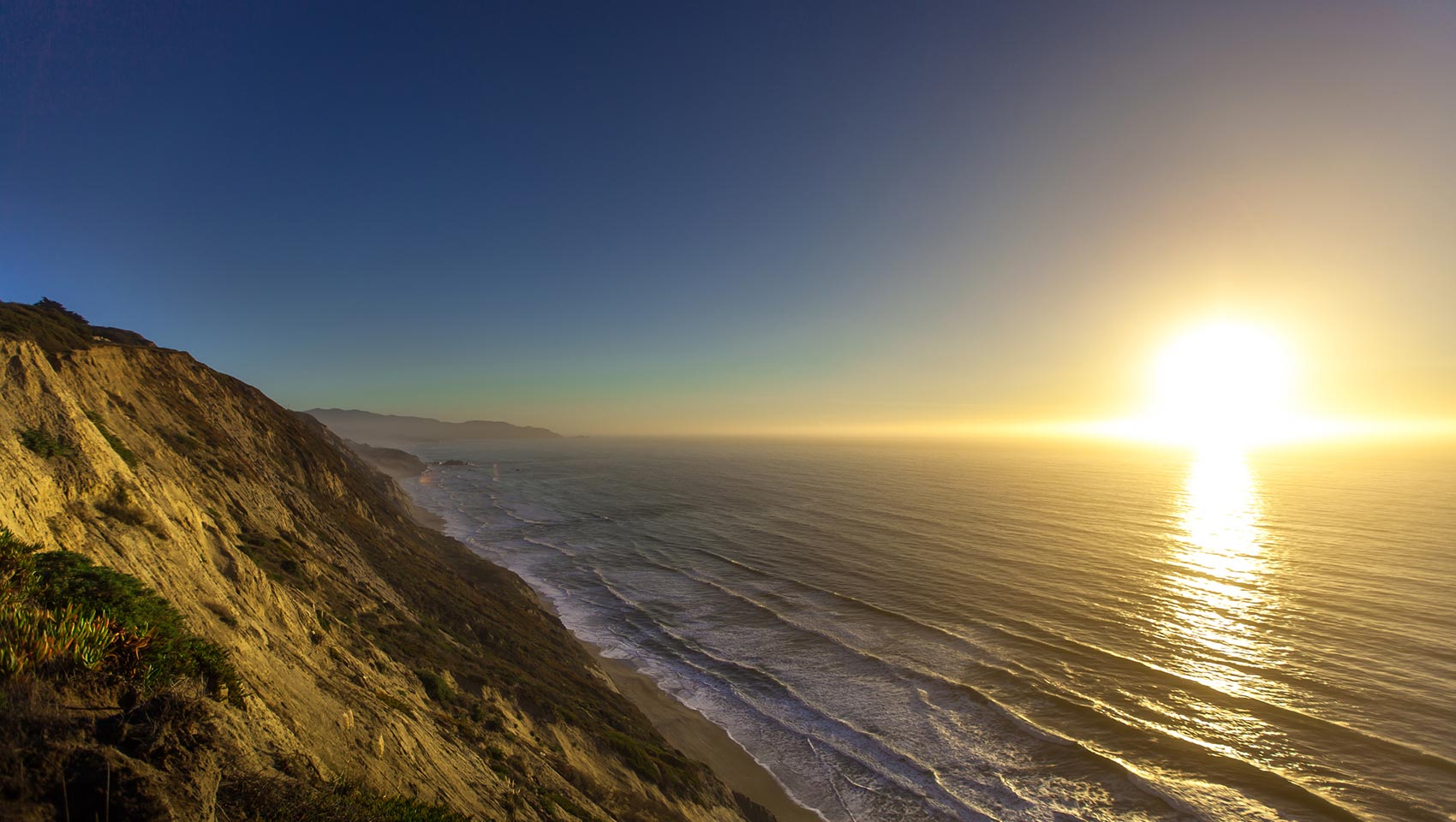 pacific ocean with sand and palm trees