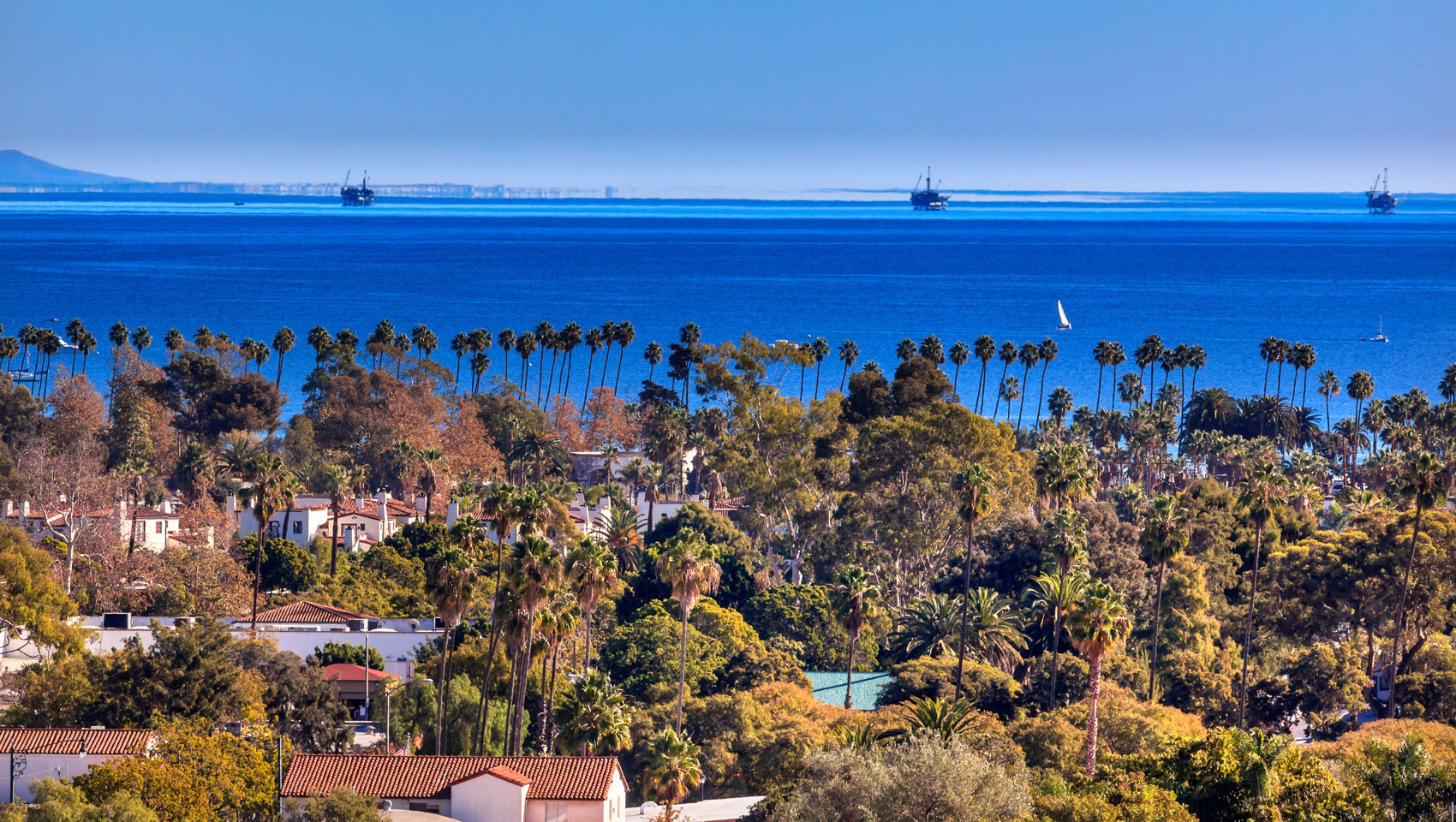 Santa Barbara palm trees and ocean