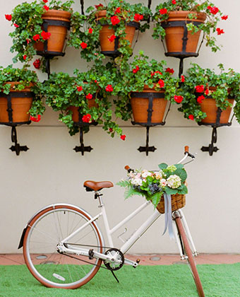 bicycle in front of potted plants on the wall
