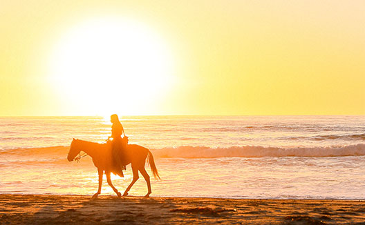horseback rider on the beach at sunset