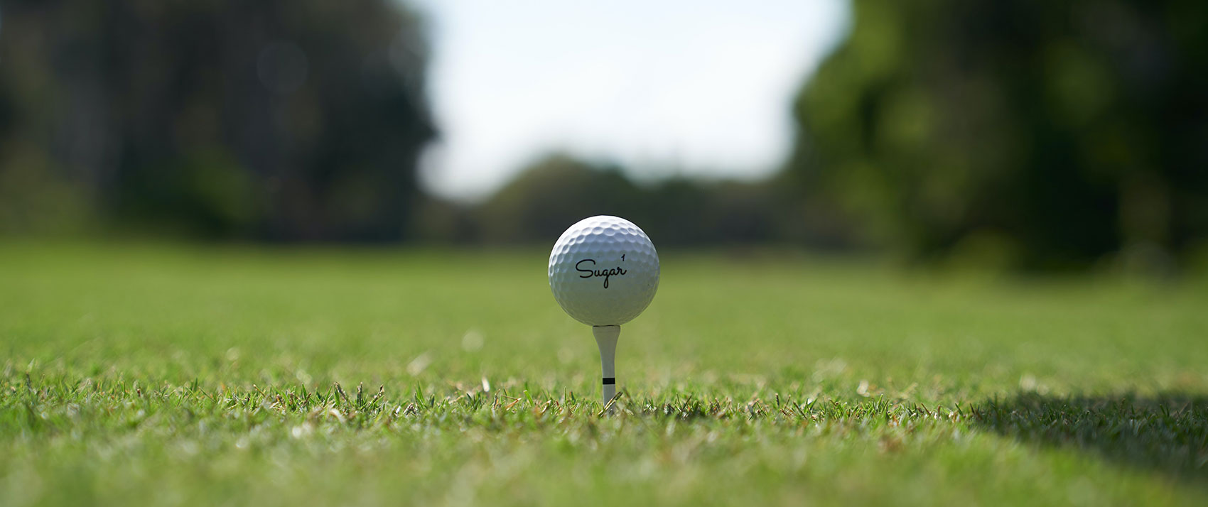 Golf ball on green